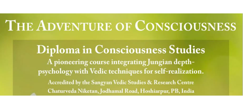 Adventure of Consciousness course poster